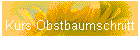 Kurs Obstbaumschnitt