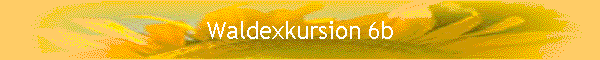 Waldexkursion 6b