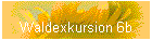 Waldexkursion 6b