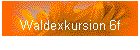 Waldexkursion 6f