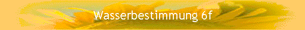 Wasserbestimmung 6f
