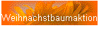 Weihnachstbaumaktion