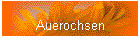 Auerochsen
