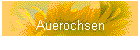 Auerochsen