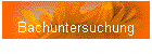 Bachuntersuchung