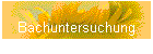 Bachuntersuchung