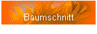 Baumschnitt