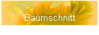 Baumschnitt