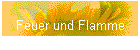 Feuer und Flamme