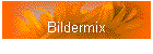 Bildermix