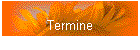 Termine