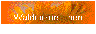 Waldexkursionen